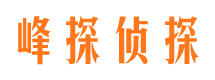 南岸寻人公司